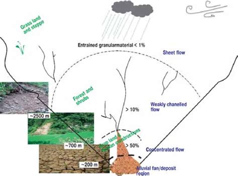 Effect of vegetation on the impact of a severe blowdown