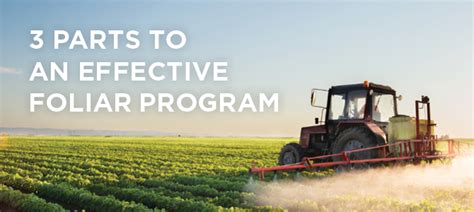 Effective Foliar Program - The Andersons Plant …