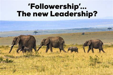 Effective Followership: What It is and Why It’s Important