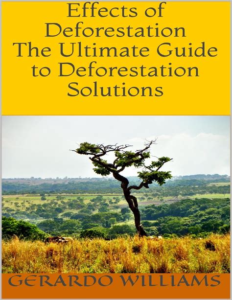 Effects of Deforestation The Ultimate Guide to Deforestation Solutions