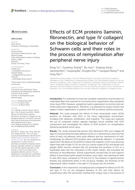 Effects of ECM proteins (laminin, fibronectin, and type IV