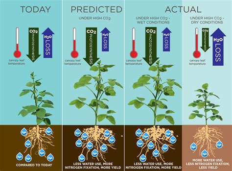 Effects of Elevated Temperature and CO2 Concentration on Seedling …