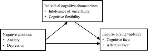 Effects of Negative Emotions and Cognitive Characteristics on Impulse …