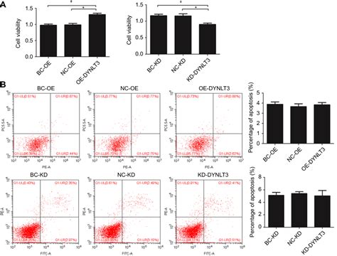 Effects of dynein light chain Tctex-type 3 on the …