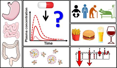 Effects of gastric pH on oral drug absorption: In vitro ... - PubMed