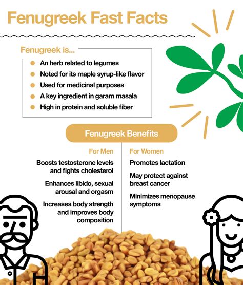 Efficacy of fenugreek seed extract on men