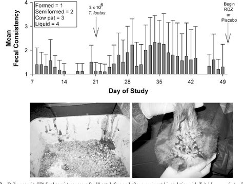 Efficacy of ronidazole for treatment of feline …