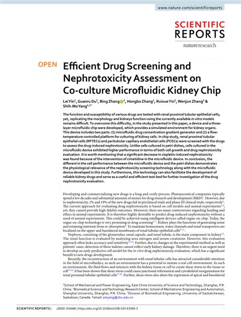 Efficient Drug Screening and Nephrotoxicity Assessment …