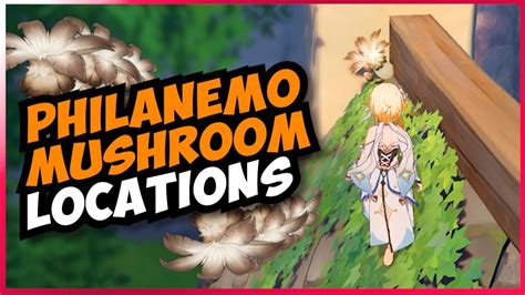 Efficient Philanemo Mushroom Farming Routes (All 55) - YouTube