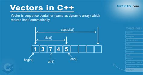 Efficient Way Of Using Std Vector