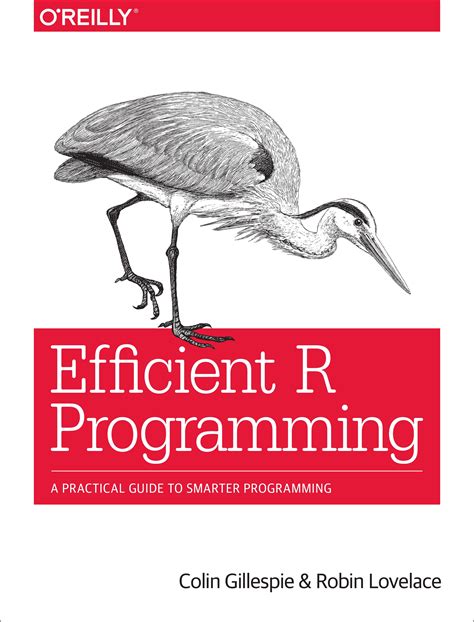 Full Download Efficient R Programming A Practical Guide To Smarter Programming By Colin  Gillespie