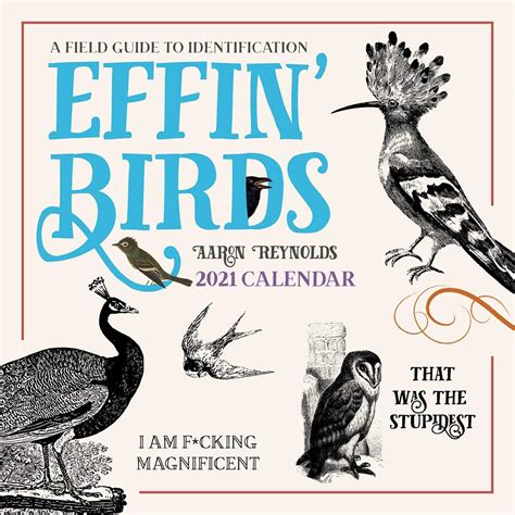 Full Download Effin Birds 2021 Wall Calendar A Field Guide To Identification By Aaron Reynolds