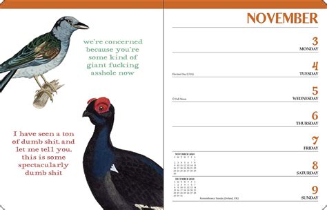 Full Download Effin Birds Undated Monthlyweekly Planner Calendar A Field Guide To Identification By Aaron Reynolds