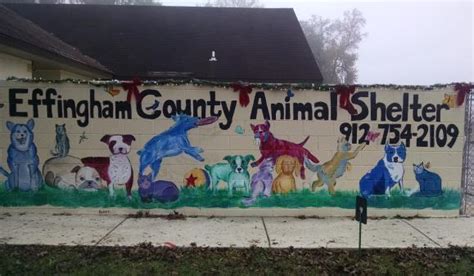 Effingham county ga animal shelter. 408 E Fayette Ave Effingham, IL 62401. General Phone (217) 500-0231. Cat Manager (217) 343-4244 