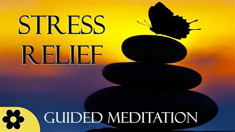 Effortless stress relief guided meditation for coping with stress and stress management the easy way. - Alimentos y bebidas - higiene, manejo y preparacion.