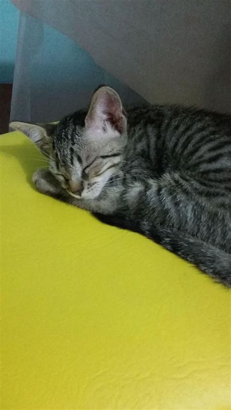 Efieme Leaked 💦 +18