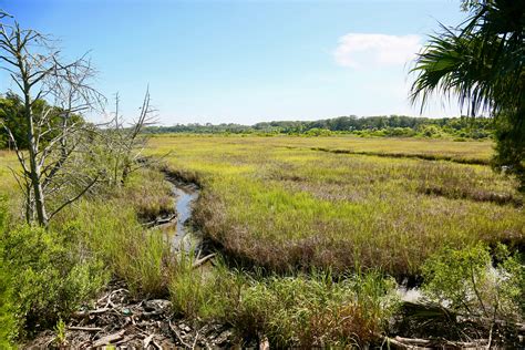 Egans Creek Greenway Fernandina Beach, FL - Official …