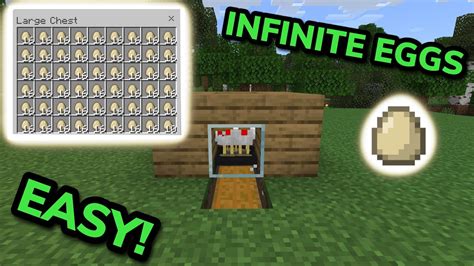 Egg Farming in Minecraft How to Make Use Egg Farm