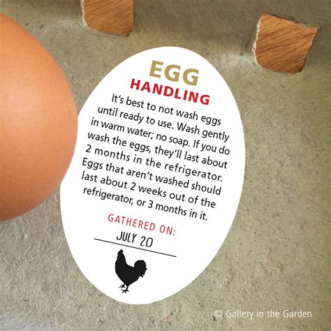 Egg Handling Instructions Printable