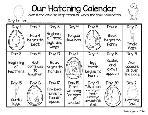 Egg Hatching Calendar