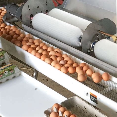 Egg Washers, Egg Handling Equipment and Egg Washing solutions