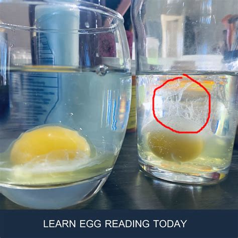 When you’re done, crack the egg open and drop the yolk and egg white into the water. Let it sit undisturbed for 15 to 30 minutes. Many times you may see the effect of the egg immediately, but sometimes you can take a little time to see if there was any negativity inside the egg a.k.a. inside the target.. 