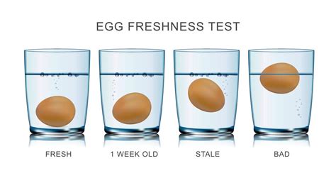 Egg freshness test. Mildew is a common problem that many people encounter when it comes to fabric. Whether it’s on clothing, upholstery, or curtains, the presence of mildew can not only be unsightly b... 