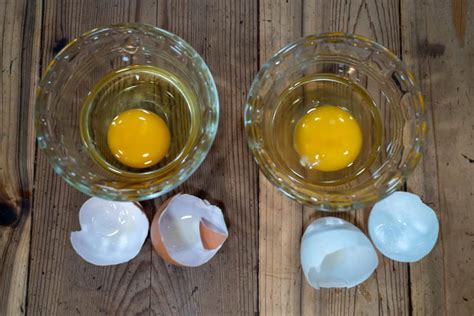 Egg glassing. The use of water glassing for egg preservation has been a popular practice in many cultures, allowing eggs to be stored for extended periods without refrigeration. The process of water glassing eggs begins with preparing a solution of water and sodium silicate. Fresh, unwashed eggs are carefully placed in a container, and the solution is … 