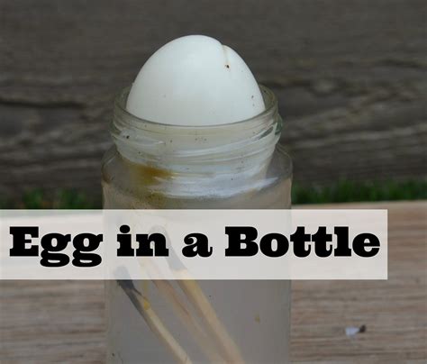 Egg in a bottle