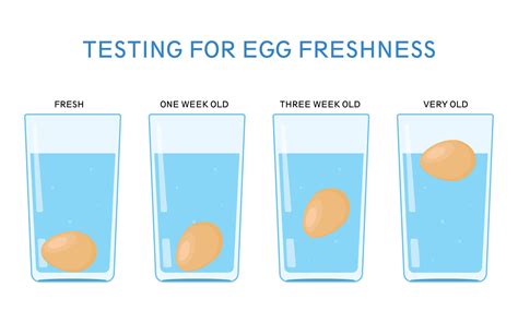 Egg in water test. 27 May 2014 ... Delia goes back to basics to teach the simple ways to test the freshness of an egg. 