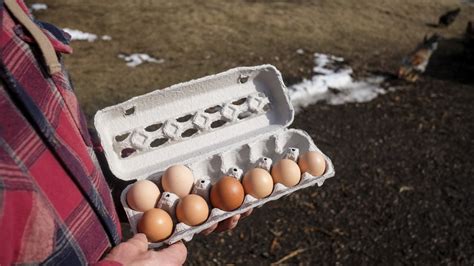 Egg prices finally fell in February, but will they stay that way?