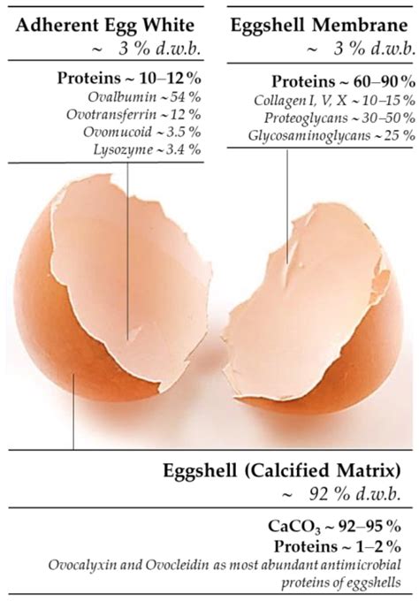 Egg shell membrane composition. .  ...