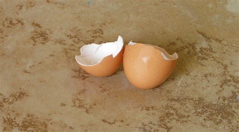 Eggsol Leaks [HD] 💋