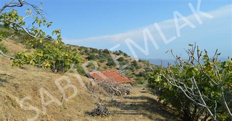 Egrikavak Halı ve Koltuk Yıkama