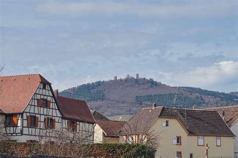 Egsen Halı ve Koltuk Yıkama