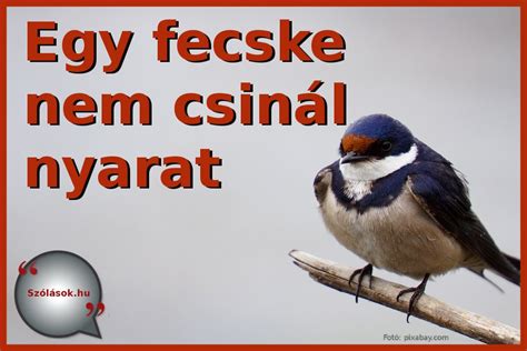 Egy fecske nem csinál nyarat - Yettel