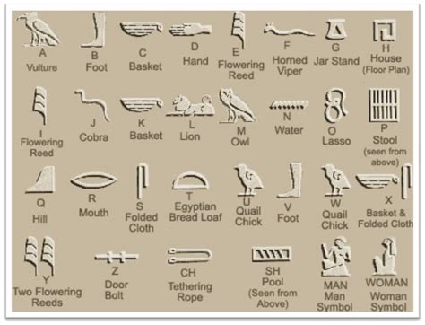 Egypt Alphabet Chat Collection Oppidan Library