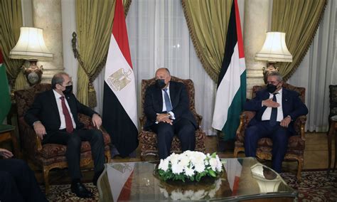 Egypt looking to host international meeting on Palestine issue