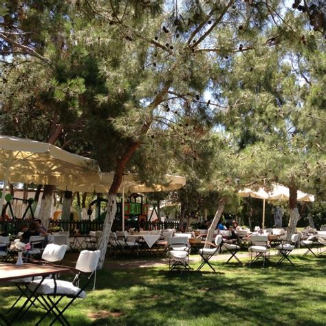 veodersti.rgarabwor.edu.pl. 