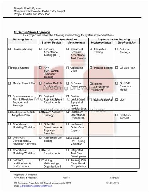 Ehr Implementation Project Plan Template Template Resume Examples