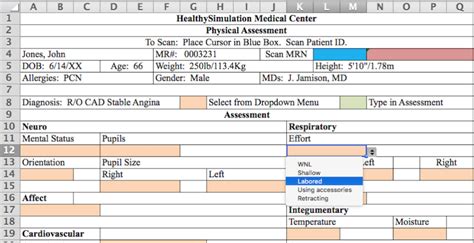 Ehr Physical Assessment Document For Simulation Includes Excel Template Healthysimulation Com