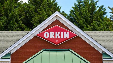 Ehrlich vs orkin. Bat bites, if visible at all, look similar to a pin prick, states Orkin. Bat teeth are very small, and consequently, there are no clear tooth marks or indentations when a person is bitten by a bat. 