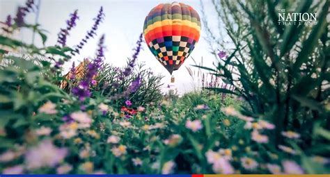 Eight Beautiful, Must