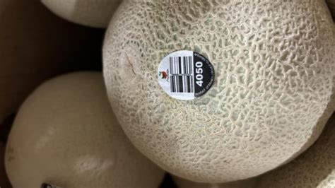 Eight cases of salmonella linked to imported cantaloupes in B.C.