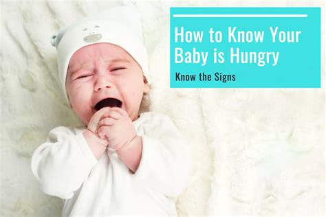 Eight signs your baby is hungry - YouTube