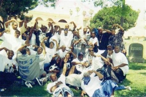 Who are the 83 gangster crips? Today we go over the history of the Eight Tray gangster crips, as well as talk about some well known stories that the gang is .... 