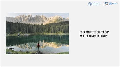 Eightieth session of the ECE Committee on Forests and the Forest ...