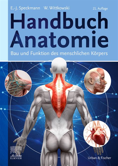 Ein handbuch der anatomie für kunststudenten. - Handbuch zum neuen testament, ln, bd.12, an philemon.