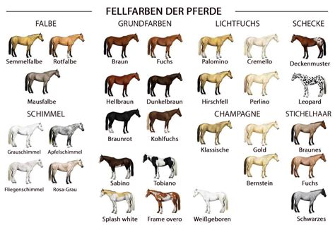 Ein leitfaden zur identifizierung von pferderassen an identification guide to horse breeds. - Acsms guidelines for exercise testing and prescription 9th ninth edition published by lippincott williams wilkins 2013.