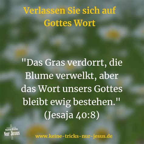 Eine bibel, gottes wort an uns. - Spss demystified a simple guide and reference.